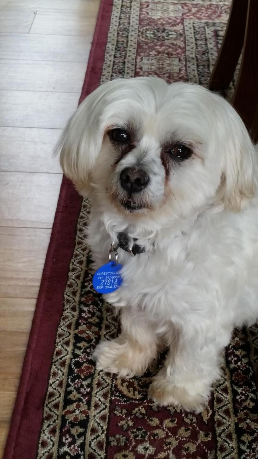 Olive House Bed and Breakfast